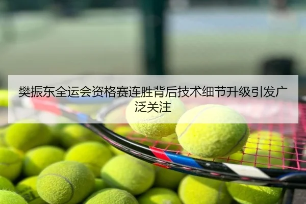 樊振东全运会资格赛连胜背后技术细节升级引发广泛关注